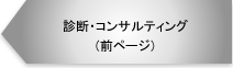 診断・コンサルティング